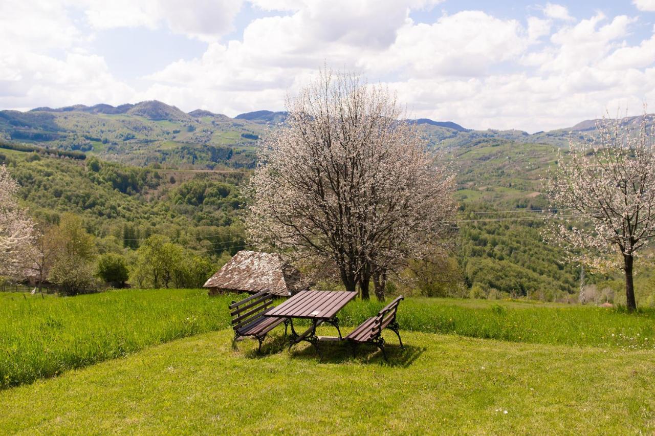 Vila Angelina Kušići Exteriér fotografie